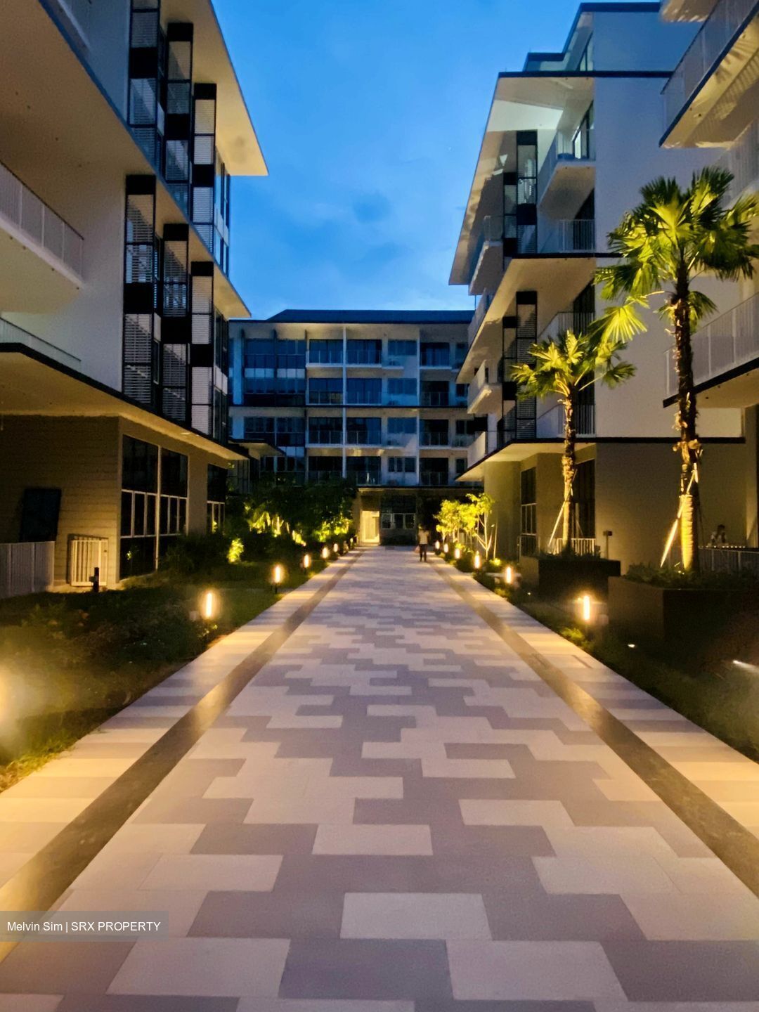 The Verandah Residences (D5), Apartment #601056961